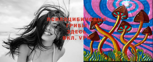 соль курить ск Анжеро-Судженск
