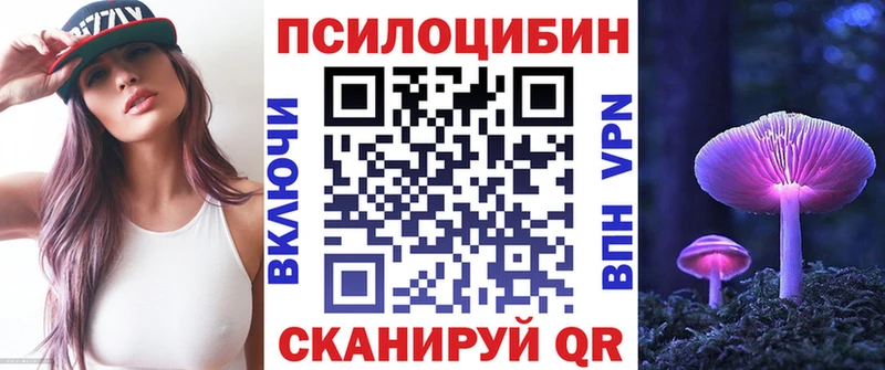 Галлюциногенные грибы Psilocybe Бирюч